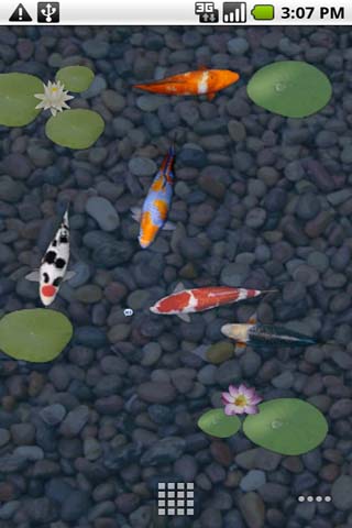 aniPetKoi screenshot