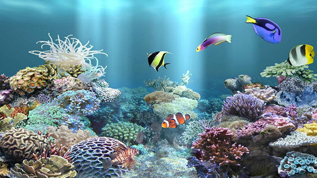aniPet Aquarium screenshot