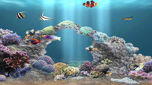 aniPet Aquarium screenshot